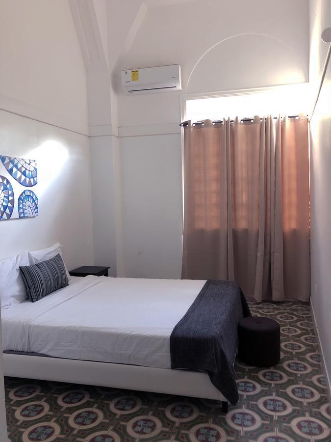 Gladiolas 1208 بونسي المظهر الخارجي الصورة